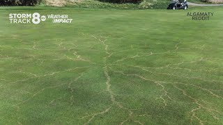 Ask Andrew | Why does the lawn look different where lightning has struck?