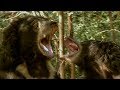 Deadly Sloth Bears Fight over Food | Deadly 60 | Earth Unplugged