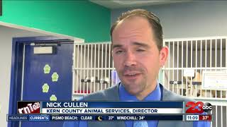 A new law bringing hope to animal shelters in Kern County