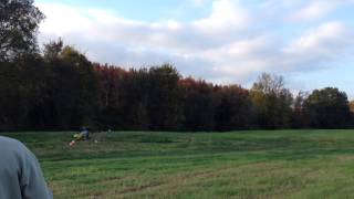 T-Rex 450 mit KDS Flymentor 3D ...Working