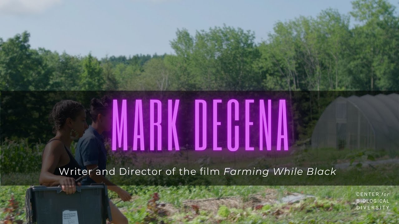 Interview with Mark Decena - Food Justice Film Festival 2025