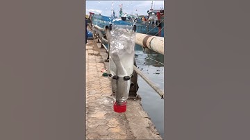 #shorts Câu cá bằng chai nhựa