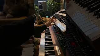 Download Lagu Kuch Kuch Hota Hai. Piano \u0026 Synth (Prophet-5) \u0026 Kitty #kuchkuchhotahai #shahrukh #bollywoodsongs MP3