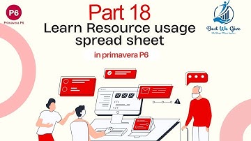 Activity and Resource Usage Spreadsheet in primavera P6