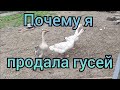 Гуси проданы, машина починина, закидываю удочку на счет газифткации.