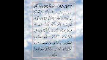 خواتم سورة الجاثية آيه 33-37 صوت الشيخ ماهر المعيقلي أكتب شئ تؤجر عليه 🩶💜🕰️
