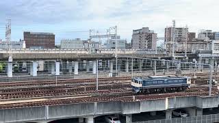 Single-Locomotive EF65