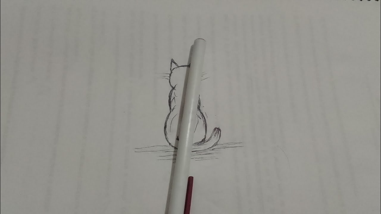 Como desenhar um gato