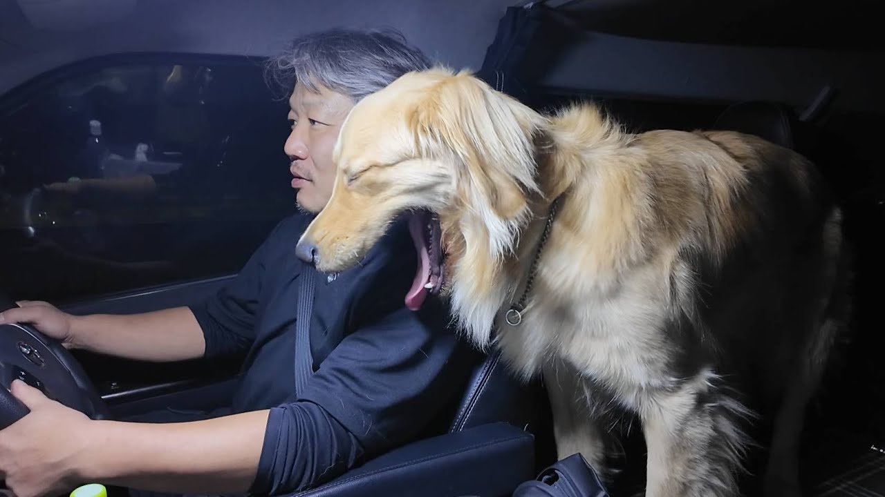 ※海空様　購入検討中 The worst happens on the way home! Will they be able to get home