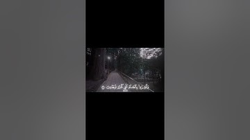 الذين قالوا ربنا الله 🤍 | سورة فصلت [٣٠-٣٢] | اسلام صبحي #قرآن #قران_كريم #اسلام_صبحي