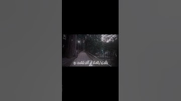 الذين قالوا ربنا الله 🤍 | سورة فصلت [٣٠-٣٢] | اسلام صبحي #قرآن #قران_كريم #اسلام_صبحي