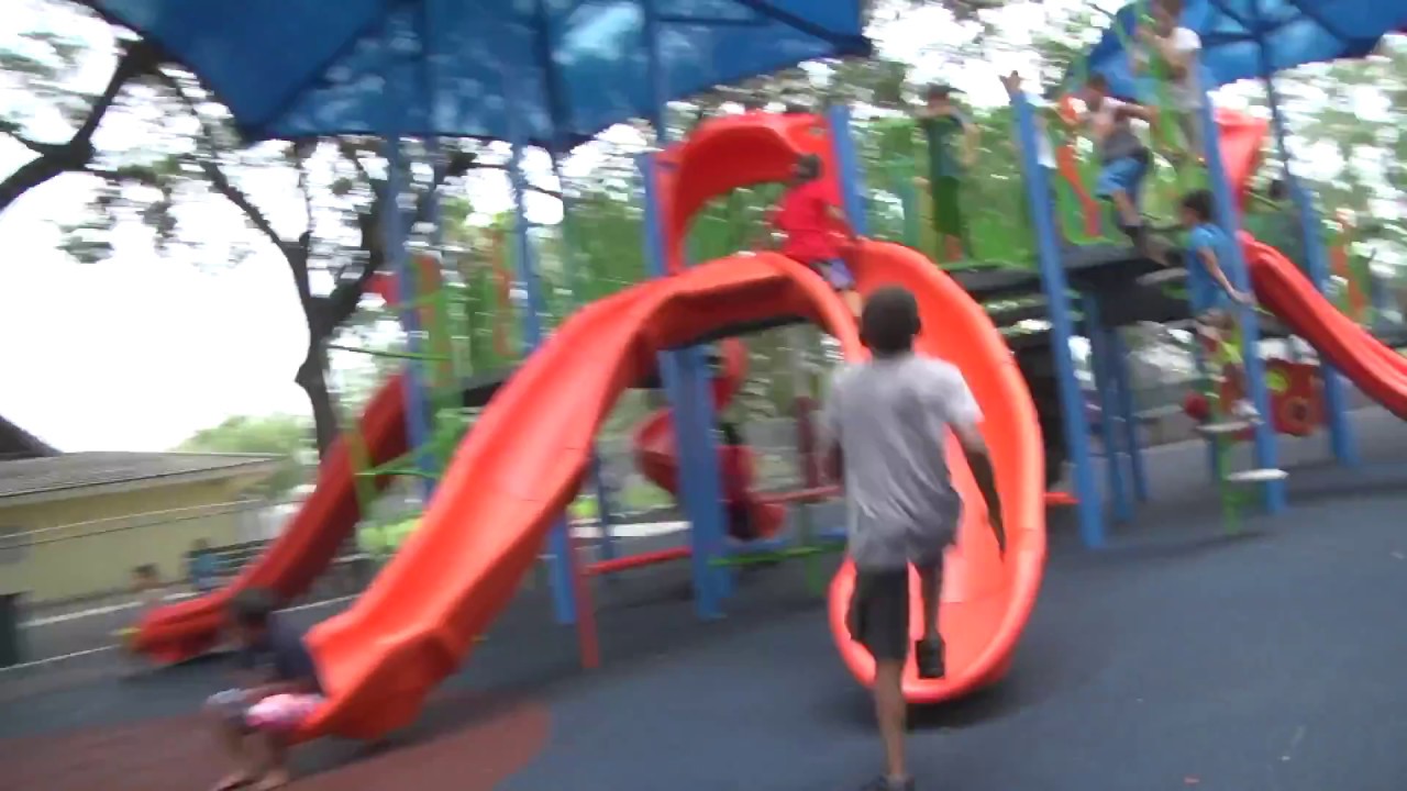 Curtis Park Remediation!