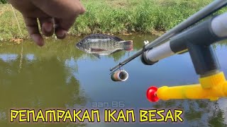 Penampakan Ikan Nila Berkeliaran, Paser Ikan Paralon, Cara Membuat Senapan Paralon Untuk Ikan, Paser