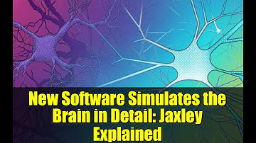 New Software Simulates the Brain in Detail: Jaxley Explained