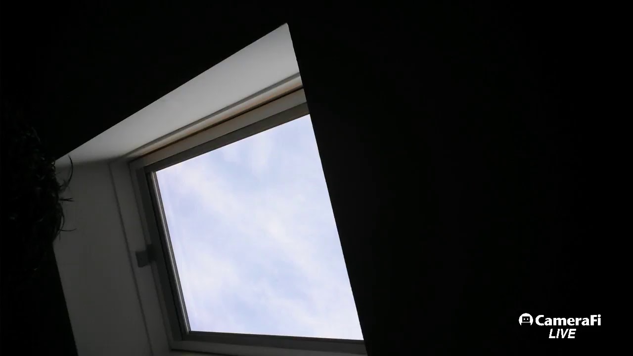 Gyenese Gergely élő 2015 ben