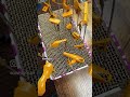 Masking, Scribing & Painting — Leveling Up My Gunpla Skills