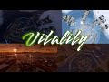 How's Vitality's first wipe SMASHED expectations #VTTM