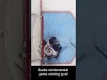 Ducks controversial goal in Overtime vs. Oilers Game 4 NHL Playoffs #nhl #anaheimducks #hockey Mp3 Song