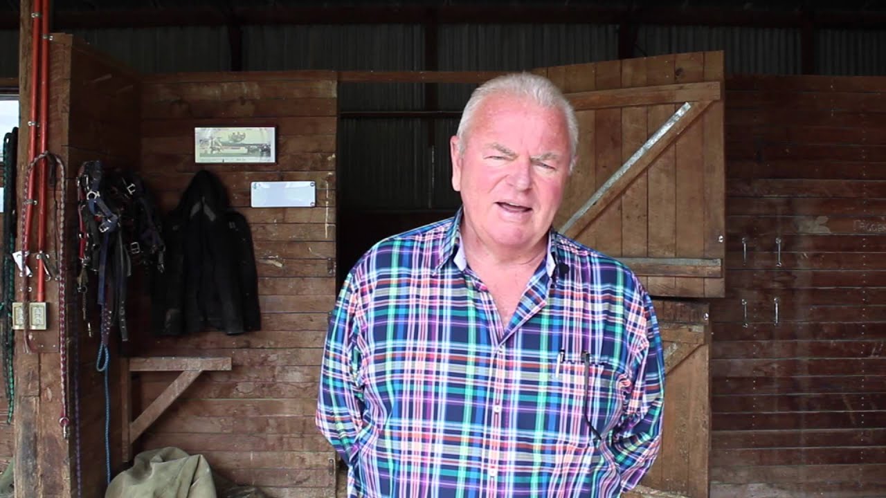 Te Akau Racing Ready To Run Preview