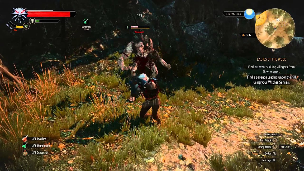 Witcher 3 werewolves