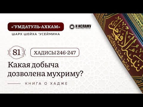 81. 🕋 Какая добыча дозволена мухриму? Хадисы 246—247. Умдатуль-ахкам. Шарх шейха Усеймина