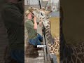 9 Strange Animal Facts You Thought Were Fake #Animals #AnimalFacts