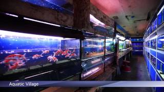 Pfk Shoptour Aquatic Village, Dublin