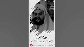 تلاوة طيبة من سورة الشعراء للشيخ رعد الكردي