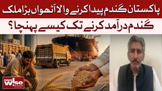 How Did Pakistan Become a Wheat Importer Despite Being Top Wheat Producer? | Dawn News