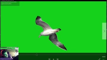 more compositing for #RestHouse #270 #birdsinthehouse #theater #gamedev #editing