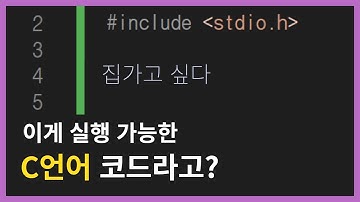 당신이 몰랐던 C언어로 한글 코딩 방법