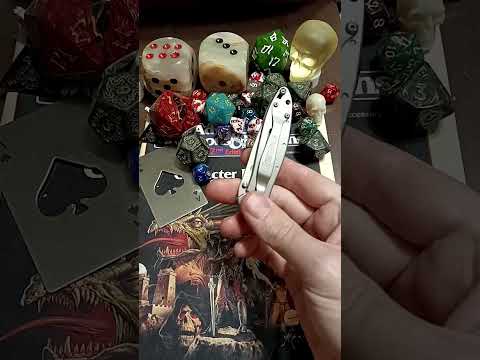 Pocket Check Kershaw Leek