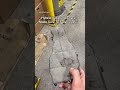 Simple hybrid maintenance tip.
