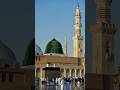 Nasseb Walon Mn Mera Name Bhi Ho Jay Foryou Love Viral Beautiful Madina 