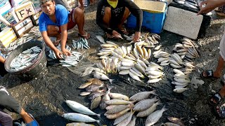 Fresh fish market at Jolo, Sulu 🇵🇭