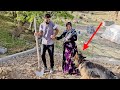 "The Love of Vali and Roghieh in the Nomadic Mountains: Even Chiko, Their Beloved Dog, is Amazed!"
