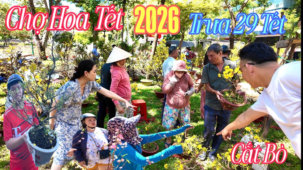 Ế Thê Thảm Trưa 29 Tết Cắt Bỏ Hoa Đào Mai Tắc Về Sớm Chợ Hoa Tết Công Viên 23/9 