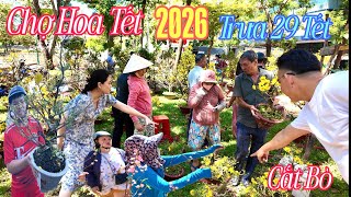  Th Thm Tra 29 Tt Ct B Hoa o Mai Tc V Sm Ch Hoa Tt Cng Vin 239 