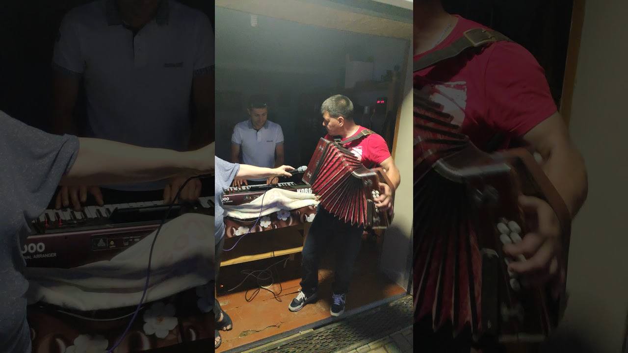 ГАГАУЗКАЯ Гармошка