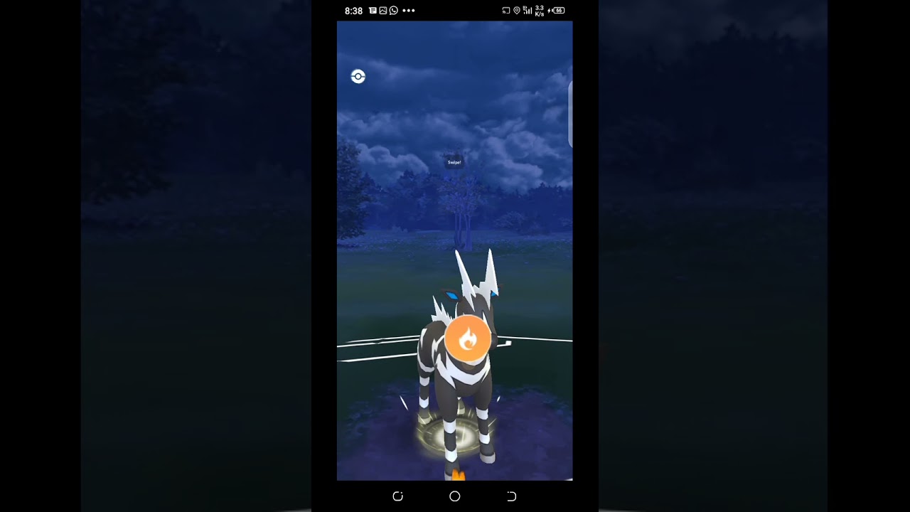 Triple electric team in Holiday cup 