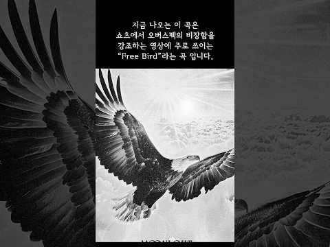 "Free Bird" - MOONLGHT, MZ세대를 사로잡은 오버스펙의 속도와 비장함 #rock #oldies #shortviral