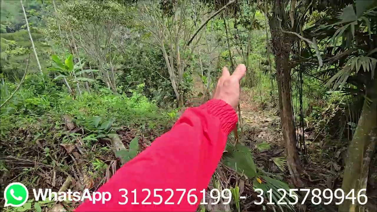 VENDO PARCELA DE 1527m2 EN LEBRIJA POR LA VÍA LA RENTA