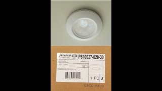 Progress Lighting LED Replacement (Model P810027-028-30)