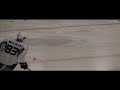 Anaheim Ducks 2011 Prospect Scrimmage