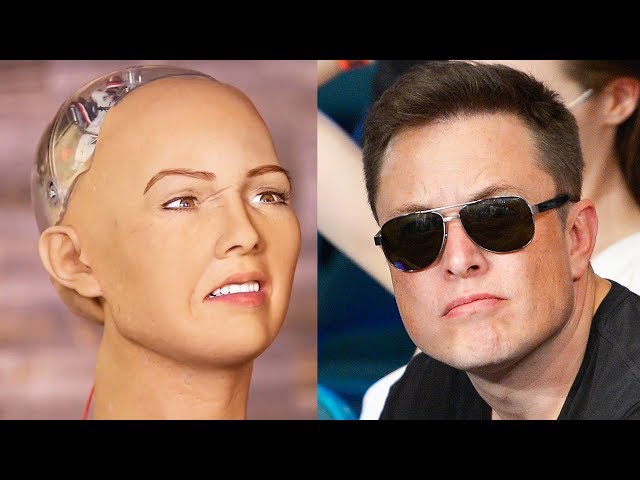 Elon Musk vs The World’s First Robot Citizen in Twitter War!