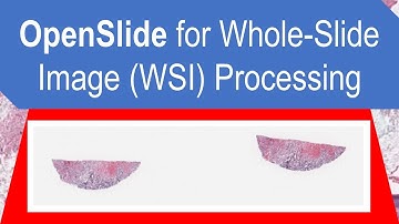 OpenSlide for Whole-Slide Image (WSI) Processing