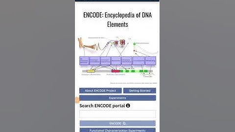 ENCODE (portal for DNA elements)
