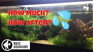 How Much and How Often Should you do WATER CHANGES