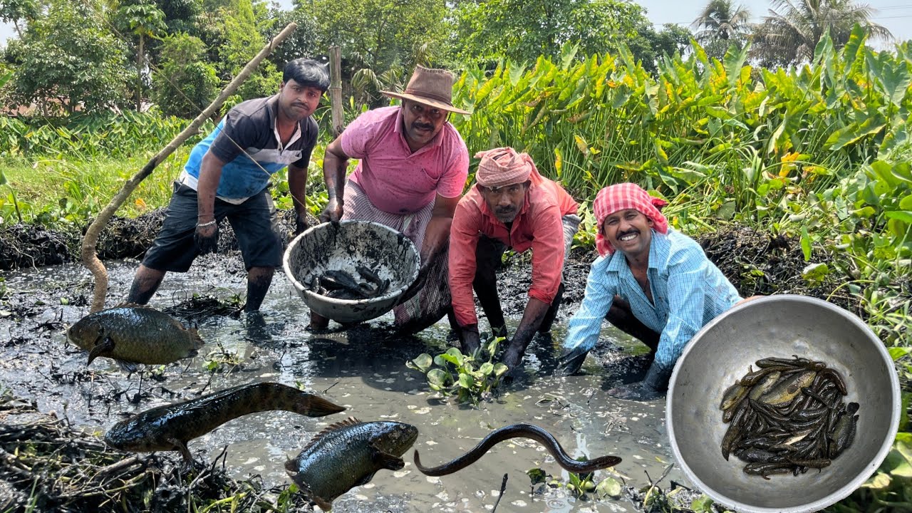 বাড়ির জলাশয় মাছ ধরতে গিয়ে কত মাছ পেলাম দেখুন ||