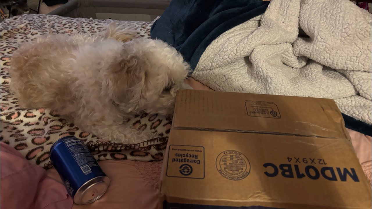 Kewanee from Via-E has arrived